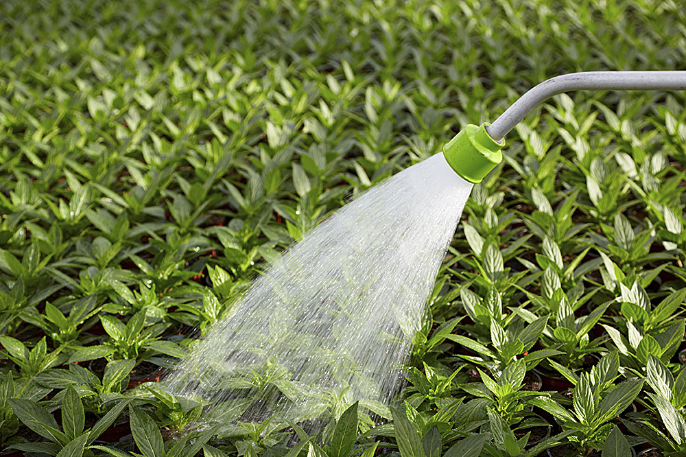 Watering food. Полив растений. Орошение растений. Вода полив растений. Полив овощей.